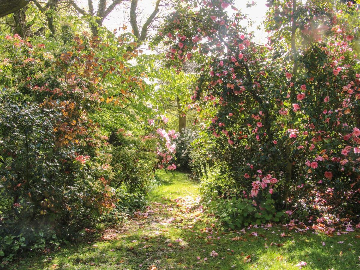 The Garden Lodge 브리지노스 외부 사진